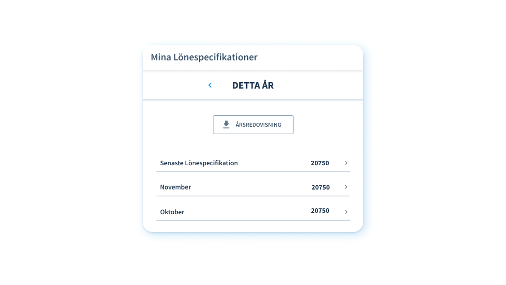 My payslips_SE