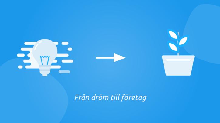 Från dröm till företag
