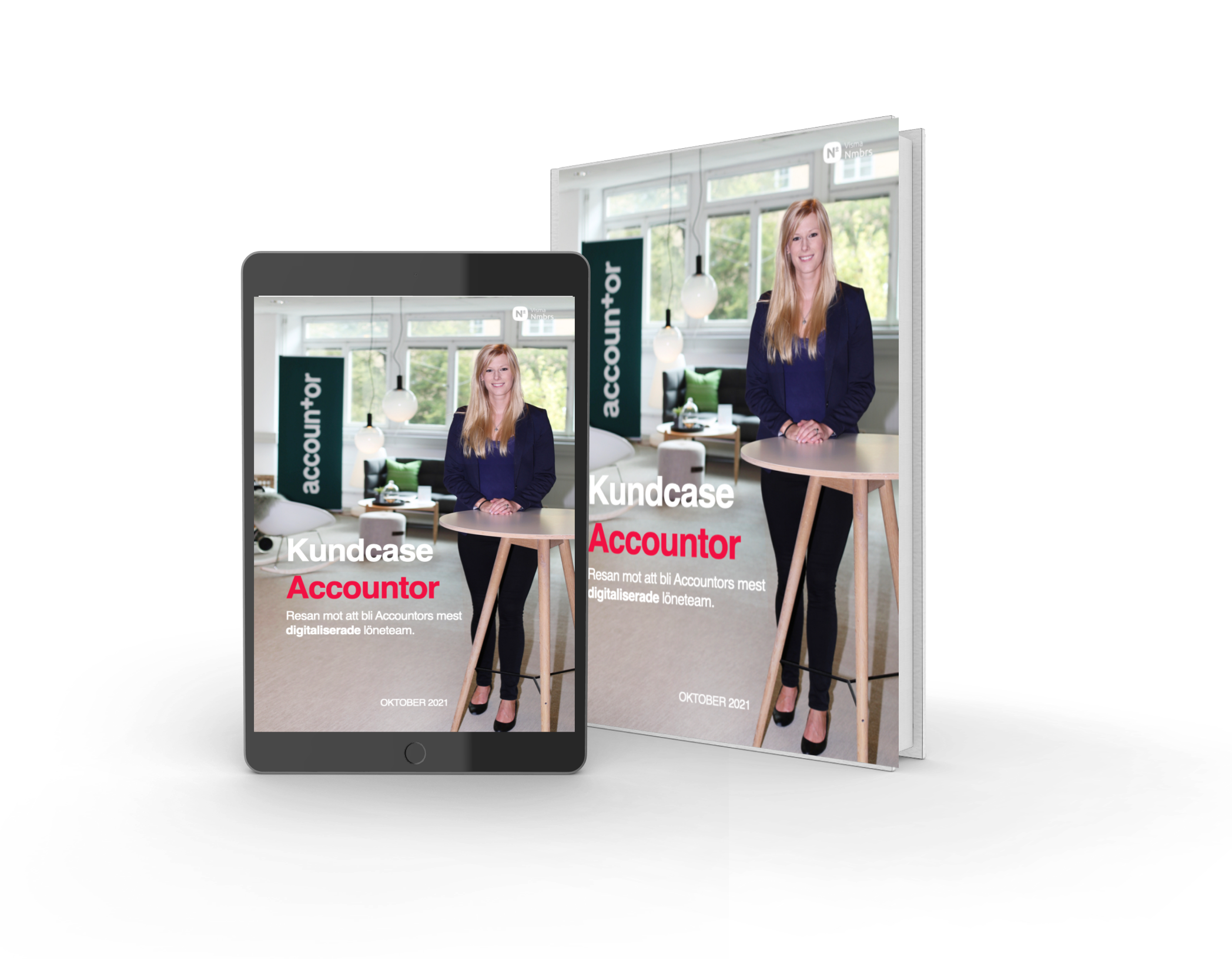SE l Mockup Multiple l CC l Accountor