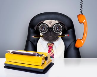 iStock_86386005_MEDIUM-1.jpg