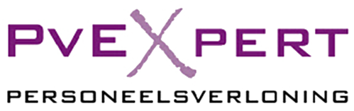 pvexpert-logo