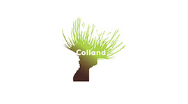 Colland