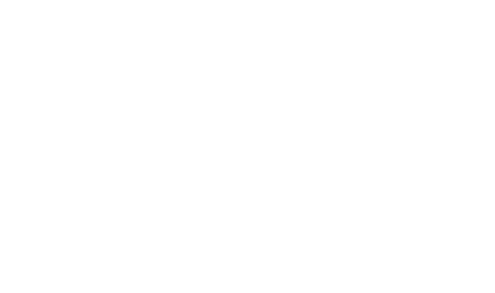 Rekenwonders_White_logo